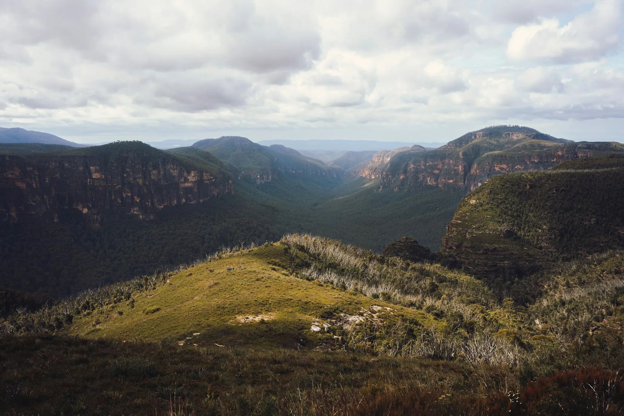 Blue Mountains