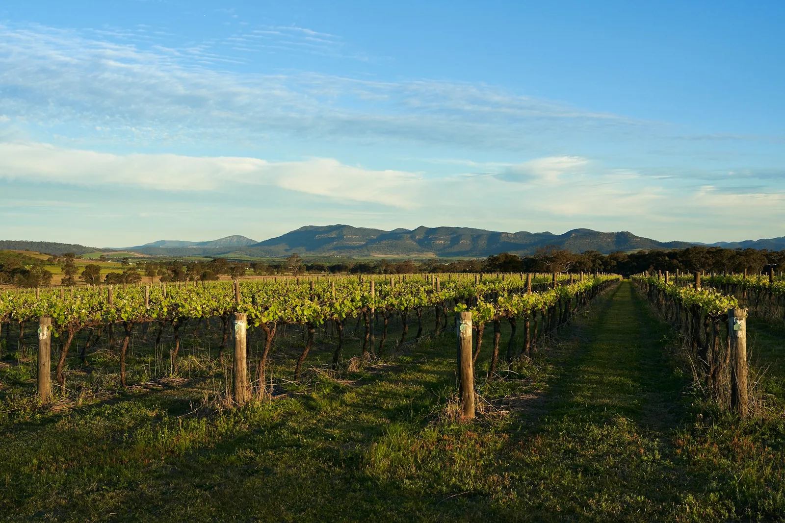 Hunter Valley