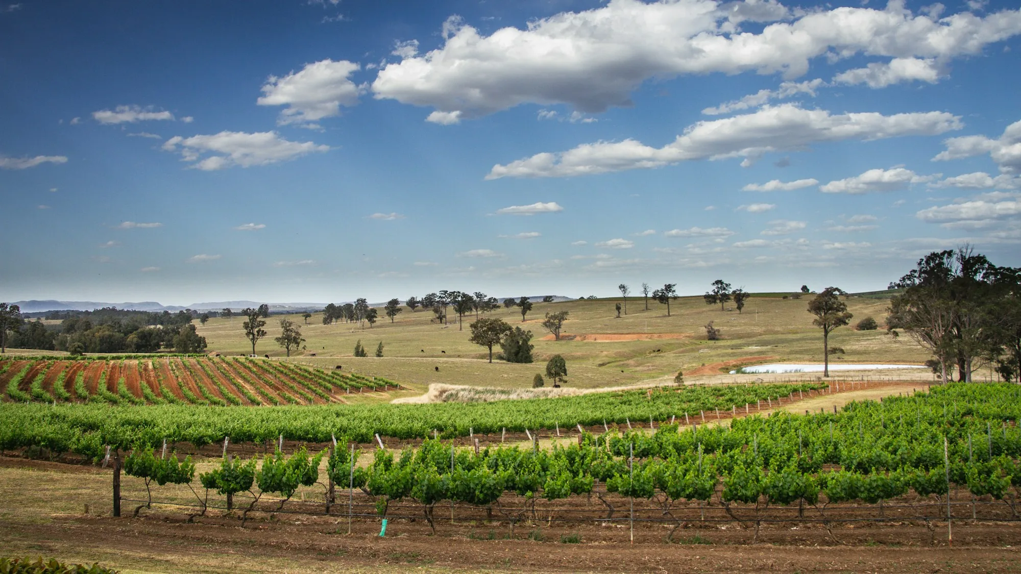 Hunter Valley Wine Country