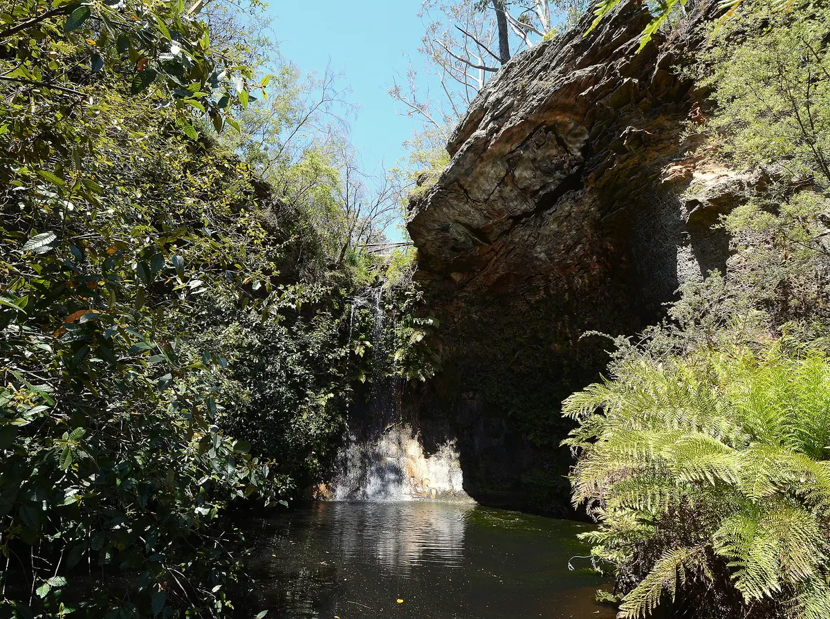 The fern-lined Grotto Pool at Everglades Gardens, Leura